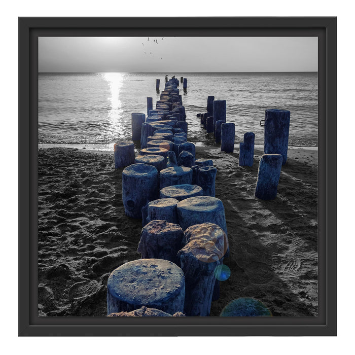 einzigartige Baumstümpfe am Meer Schattenfugenrahmen Quadratisch 40x40