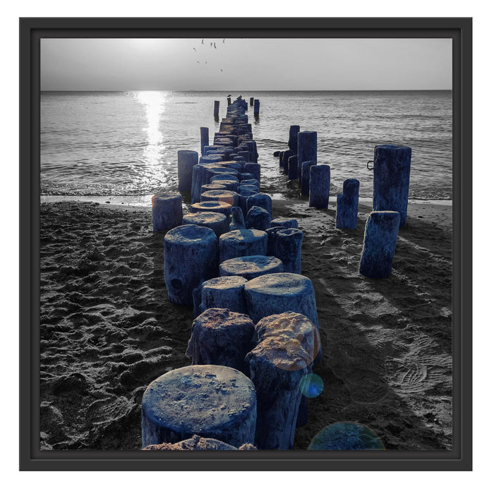 einzigartige Baumstümpfe am Meer Schattenfugenrahmen Quadratisch 55x55