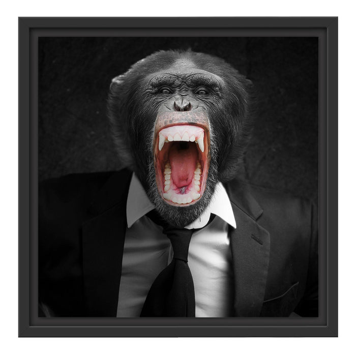 brüllender Affe im Anzug Schattenfugenrahmen Quadratisch 40x40
