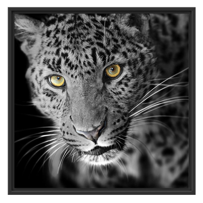 prächtig anmutiger Leopard Schattenfugenrahmen Quadratisch 70x70