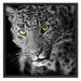 prächtig anmutiger Leopard Schattenfugenrahmen Quadratisch 70x70