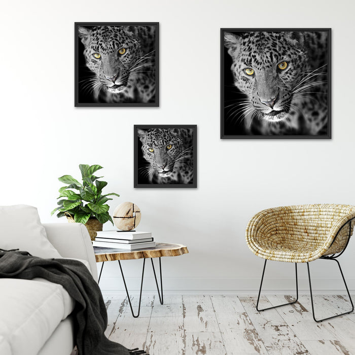 prächtig anmutiger Leopard Quadratisch Schattenfugenrahmen Wohnzimmer