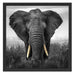 prachtvoller Elefant Schattenfugenrahmen Quadratisch 55x55