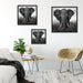 prachtvoller Elefant Quadratisch Schattenfugenrahmen Wohnzimmer