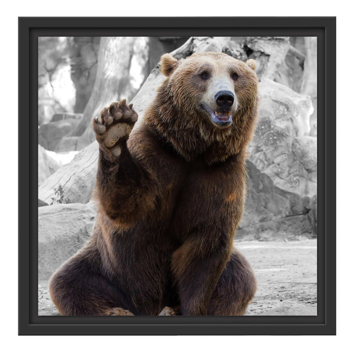 dicker Bär sagt Hallo Schattenfugenrahmen Quadratisch 40x40