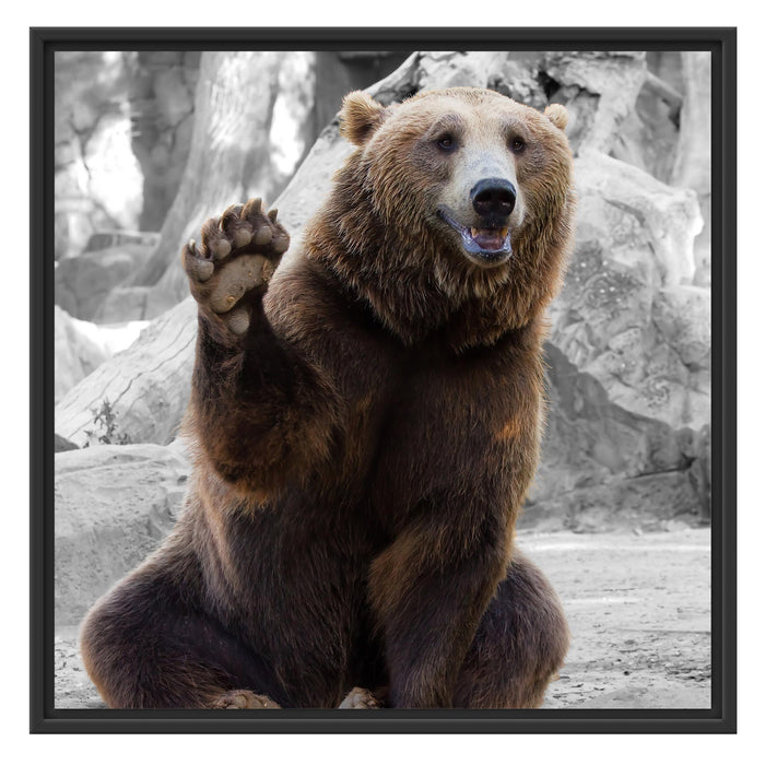 dicker Bär sagt Hallo Schattenfugenrahmen Quadratisch 70x70