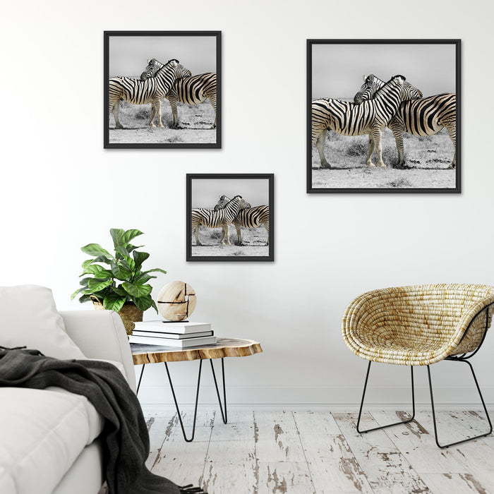 Zebras in der Savanne Quadratisch Schattenfugenrahmen Wohnzimmer