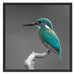 wunderschöner Eisvogel auf Ast Schattenfugenrahmen Quadratisch 70x70