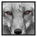 wunderschöner Fuchs im Portrait Schattenfugenrahmen Quadratisch 70x70