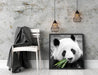 kuscheliger Panda frisst Bambus Quadratisch Schattenfugenrahmen Dekovorschlag