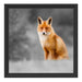 prachtvoller Fuchs Schattenfugenrahmen Quadratisch 40x40
