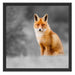 prachtvoller Fuchs Schattenfugenrahmen Quadratisch 55x55