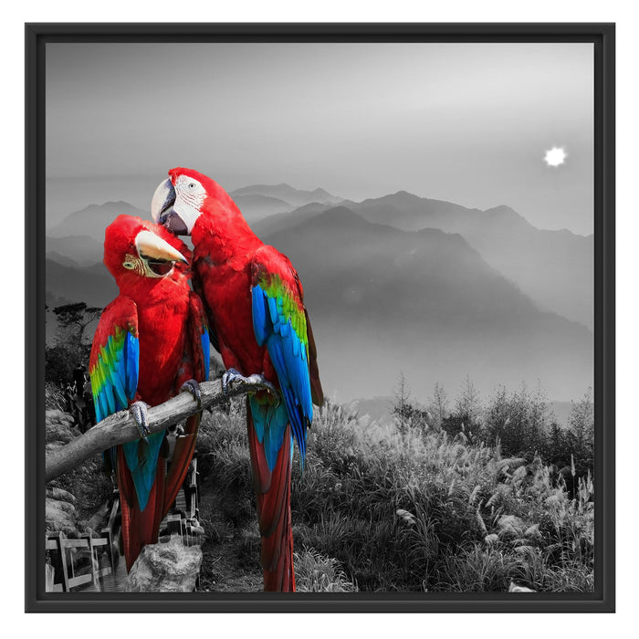 süße Papageien auf Ast Schattenfugenrahmen Quadratisch 70x70