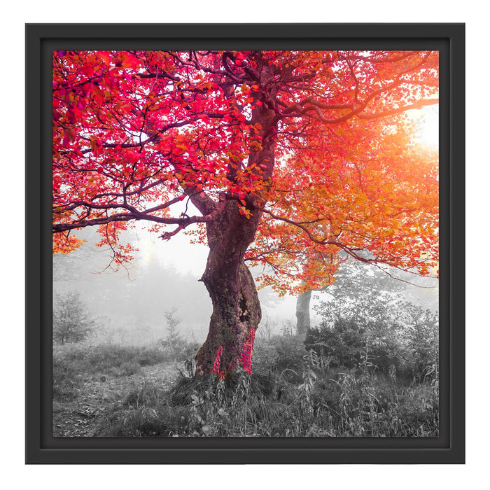 Zauberhafte Waldlandschaft Schattenfugenrahmen Quadratisch 40x40