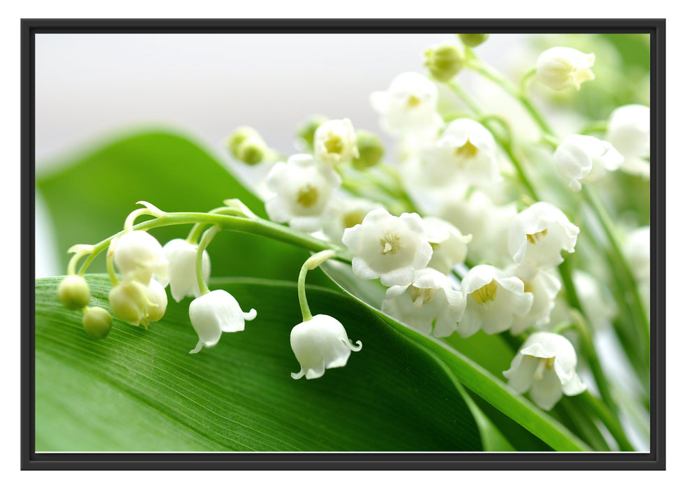 Pixxprint Maiglöckchen Ostern, im Schwebe-Effekt Bilderrahmen