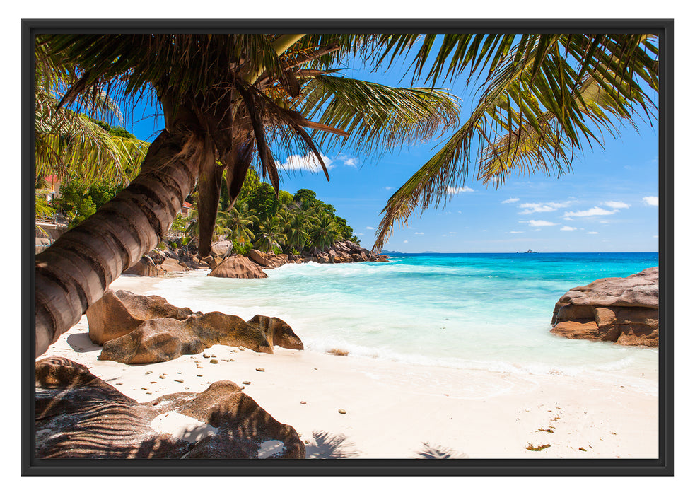 Pixxprint Palmenstrand Seychellen, im Schwebe-Effekt Bilderrahmen