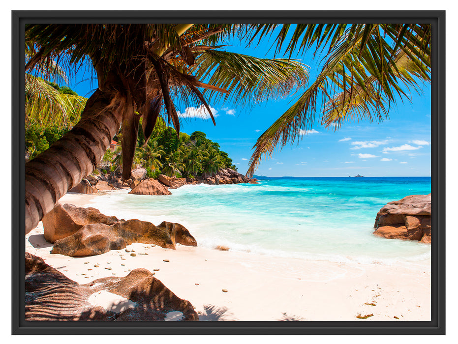 Palmenstrand Seychellen Schattenfugenrahmen 80x60