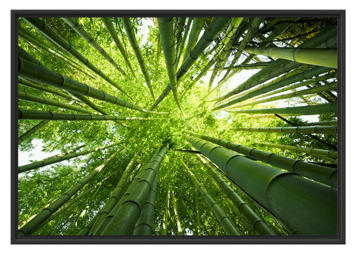 Grüner Bambus Schattenfugenrahmen 100x70