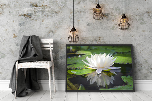 Weiße Lotusblume im Wasser Schattenfugenrahmen Wohnzimmer
