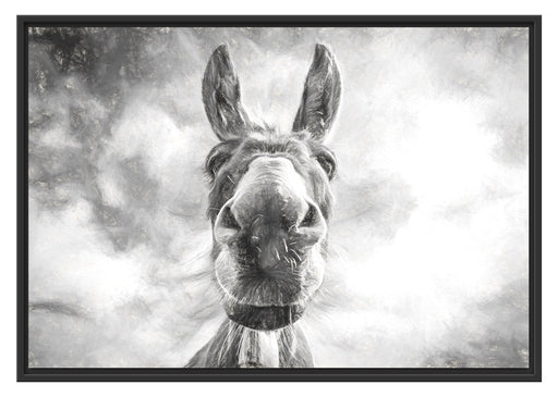 Lustiger Esel Kunst Schattenfugenrahmen 100x70