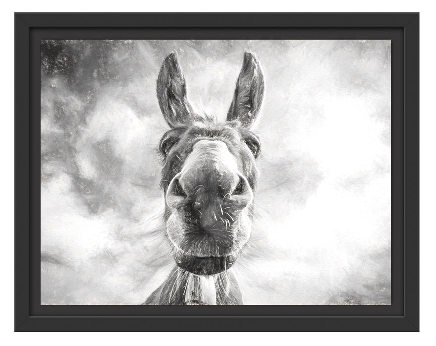 Lustiger Esel Kunst Schattenfugenrahmen 38x30
