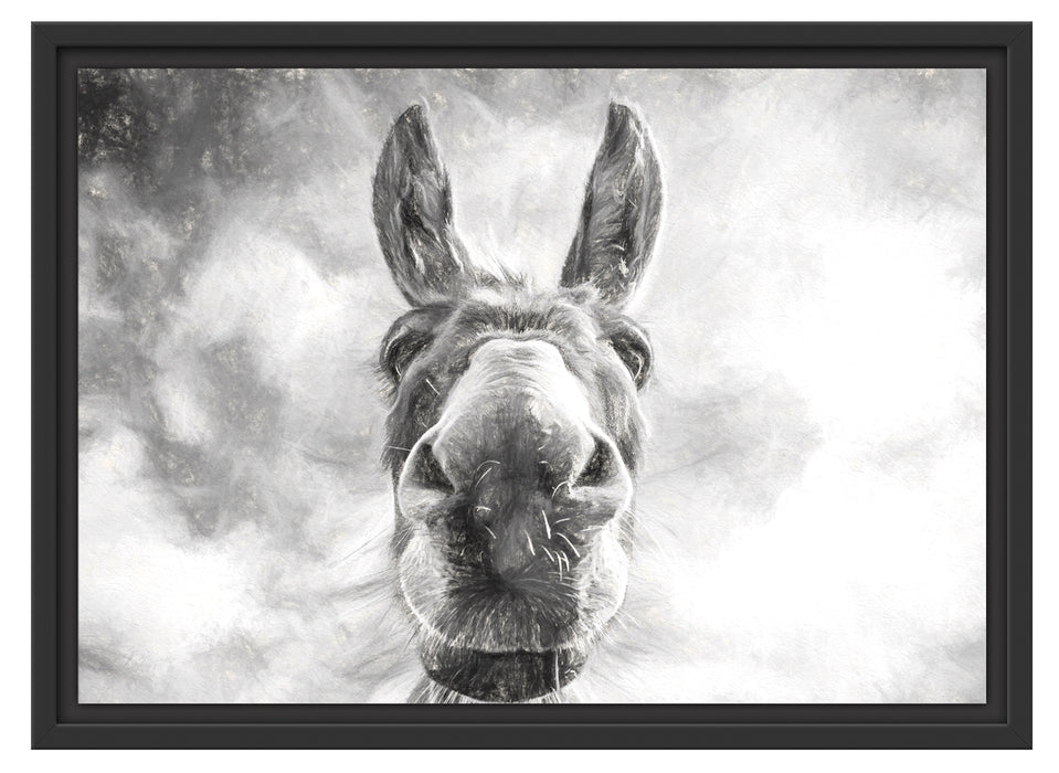Lustiger Esel Kunst Schattenfugenrahmen 55x40