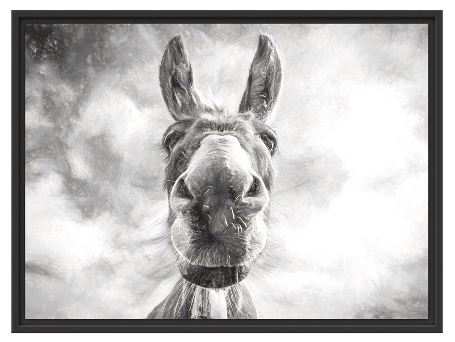 Lustiger Esel Kunst Schattenfugenrahmen 80x60