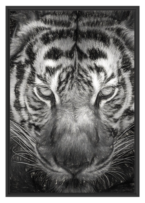 Pixxprint Tiger mit hellbraunen Augen Kunst