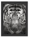 Tiger mit hellbraunen Augen Kunst Schattenfugenrahmen 38x30