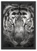 Tiger mit hellbraunen Augen Kunst Schattenfugenrahmen 55x40