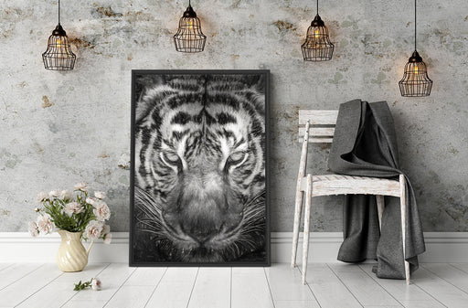 Tiger mit hellbraunen Augen Kunst Schattenfugenrahmen Wohnzimmer