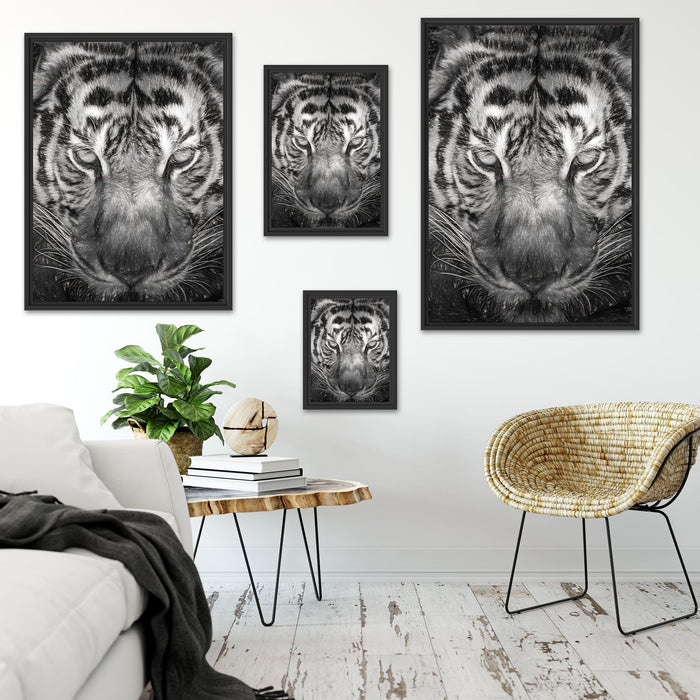 Tiger mit hellbraunen Augen Kunst Schattenfugenrahmen Dekovorschlag