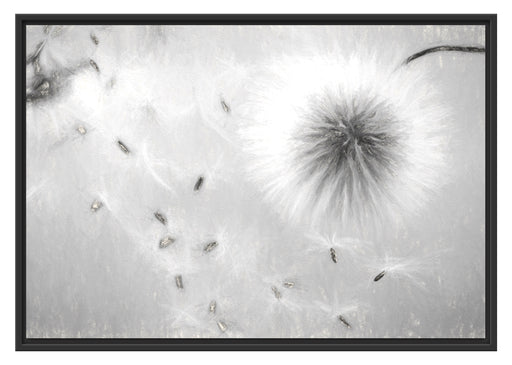 Pusteblumen in Bewegung Kunst Schattenfugenrahmen 100x70