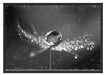 Wassertropfen auf einer Pusteblume Schattenfugenrahmen 100x70
