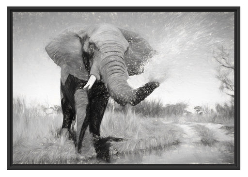 Elefant spritzt mit Wasser Schattenfugenrahmen 100x70
