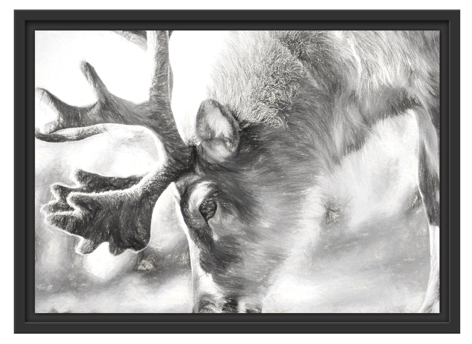 süßes Rentier beim Essen Kunst Schattenfugenrahmen 55x40