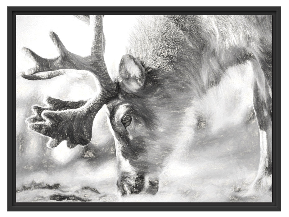 süßes Rentier beim Essen Kunst Schattenfugenrahmen 80x60