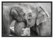 Elefantenmutter mit Kalb Schattenfugenrahmen 100x70