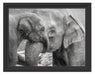 Elefantenmutter mit Kalb Schattenfugenrahmen 38x30