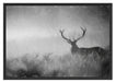 Rotwild Hirsch im Nebel Kunst Schattenfugenrahmen 100x70