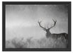 Rotwild Hirsch im Nebel Kunst Schattenfugenrahmen 55x40