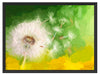 Löwenzahn Samen Kunst Schattenfugenrahmen 80x60