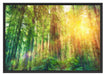 Wald bei Sonnenlicht Kunst Schattenfugenrahmen 100x70