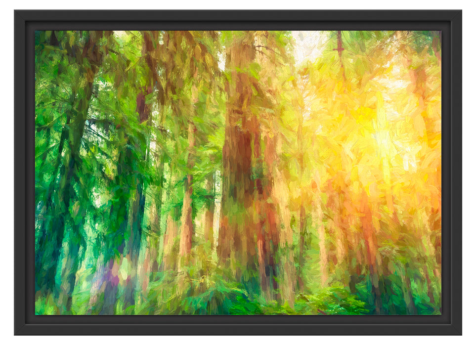 Wald bei Sonnenlicht Kunst Schattenfugenrahmen 55x40