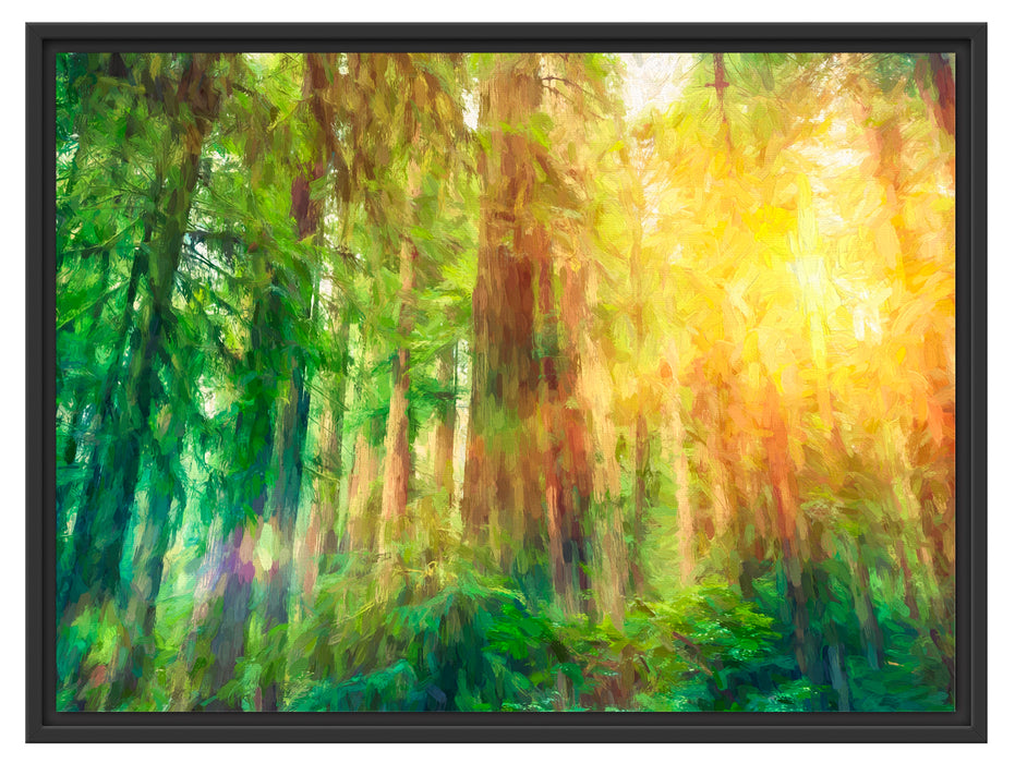 Wald bei Sonnenlicht Kunst Schattenfugenrahmen 80x60