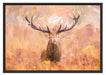 Großer Hirsch im Feld Kunst Schattenfugenrahmen 100x70