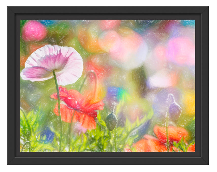 Kalifornischer Mohn im Frühling Schattenfugenrahmen 38x30