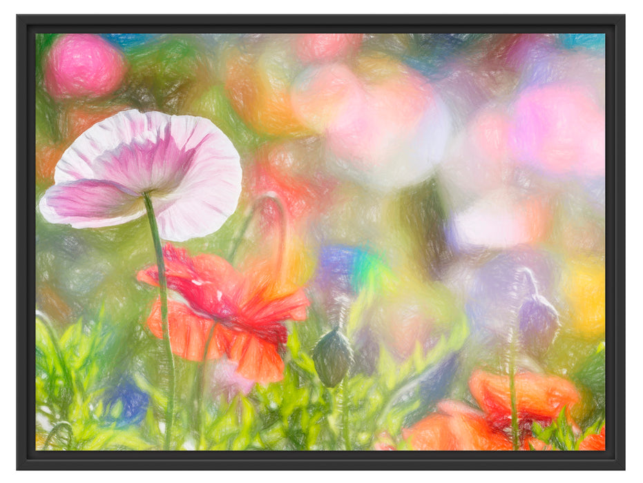 Kalifornischer Mohn im Frühling Schattenfugenrahmen 80x60