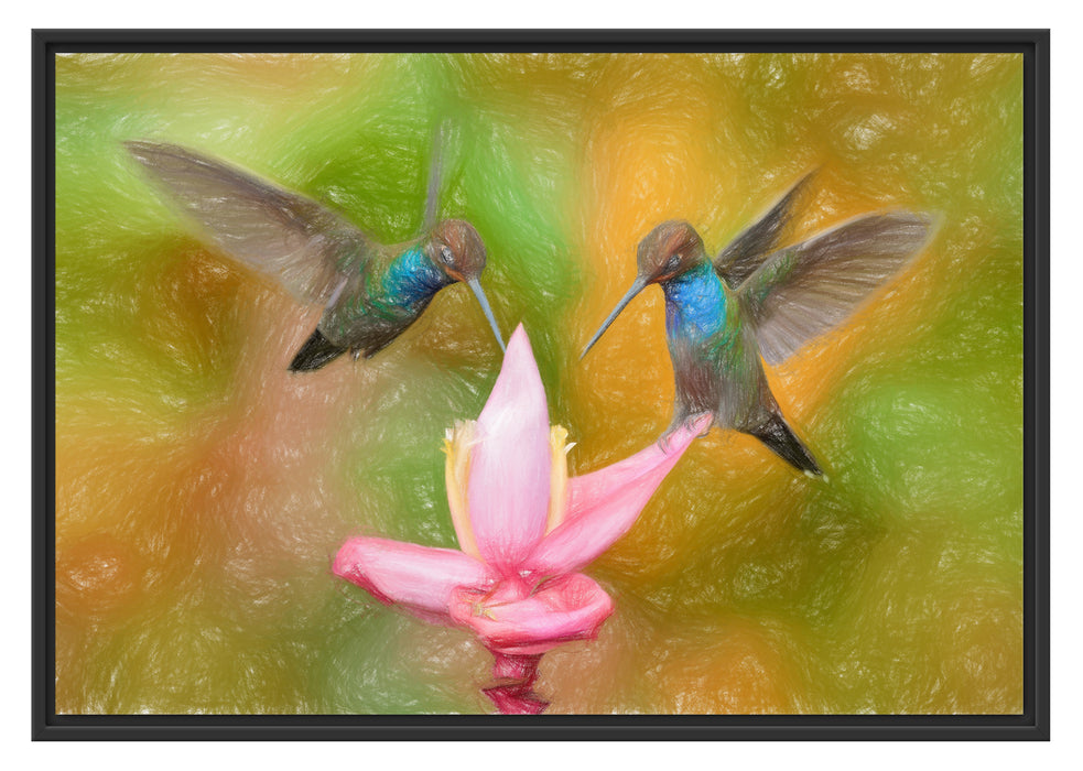 Kolibris in den Tropen Schattenfugenrahmen 100x70