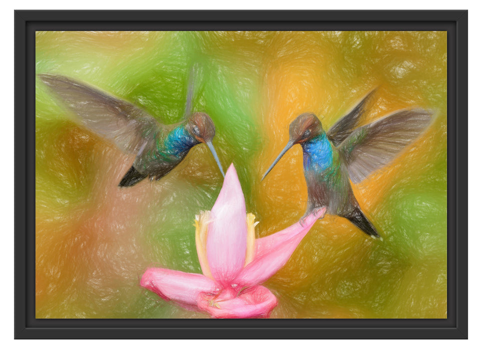 Kolibris in den Tropen Schattenfugenrahmen 55x40